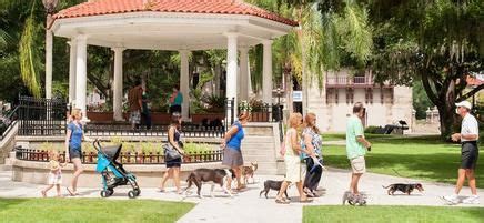 Looking for a place to stay with your pet in florida? PET FRIENDLY Tours | Dog friendly beach, Florida travel ...