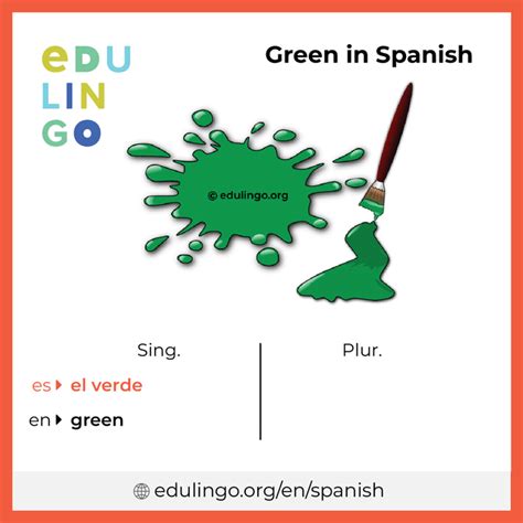 Green In Spanish • Writing And Pronunciation With Pictures