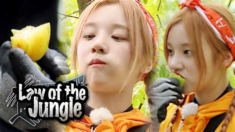 Watch and download law of the jungle episode 424 with english subtitle. Yuqi's Star Fruits Mukbang [Law of the Jungle Ep 380 ...