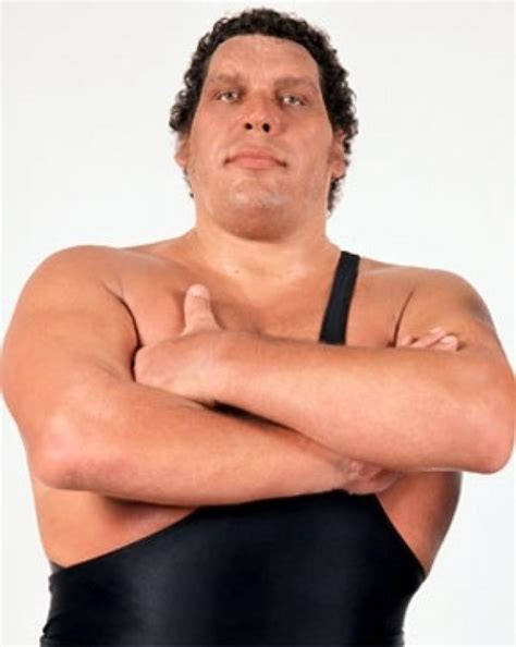 Andre The Giant Profile And Match Listing Internet Wrestling Database