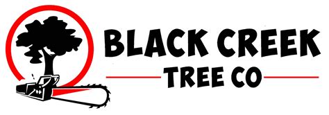 Get A Quote Black Creek Tree Co 904 203 2211