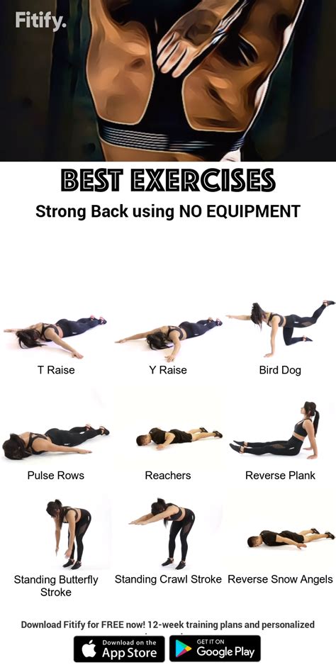 No Equipment Back Muscle Workout Routine Intense Workout To Target Your Upper And Lower Back