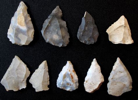 The Typologist Collector Of Collections Arrowheads Artifacts Indian