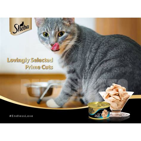 It has cat's favorite sear food flavor mixed with cod, sole and shrimp, savory salmon and ocean whitefish and tuna. Sheba Cat Canned 85G - Cat Wet Food, Cat Can Food, Tuna ...