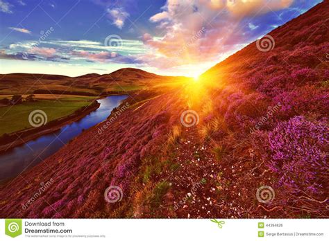 Beautiful Landscape Of Scottish Nature Stock Photo Image Of Country