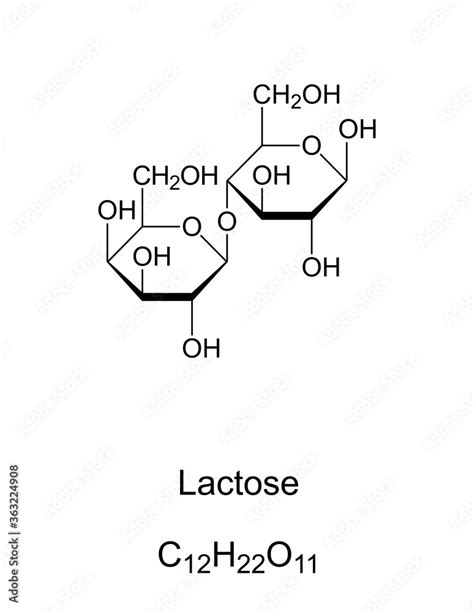 Linear Structure Of Lactose