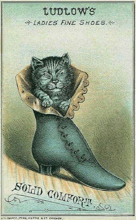 Ludlows Vintage Advertising Art Cat Posters Cat Art
