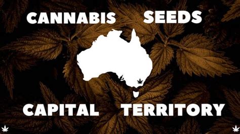 Buy Cannabis Seeds In Australian Capital Territory Free Shipping