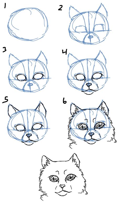 Being a creative guy, steve had come up with loads of different ideas throughout his life, but saw an actual demand for people wanting cat drawings and decided to start a business out of it. Savanna Williams: How to Draw Cats- Faces / Heads