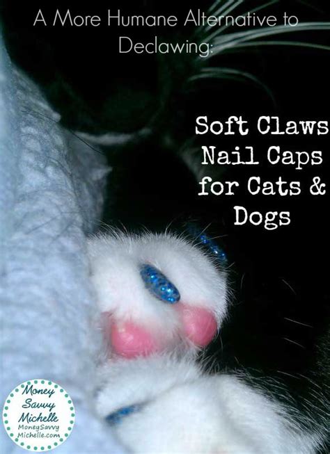 Soft Claws Review A More Humane Alternative To Declawing Soft Claws