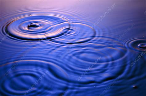 Ripples From Drops Falling Into Water Stock Image A1800028