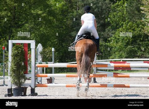 Horse Jumping Obstacle Showjumping Stock Photo Alamy