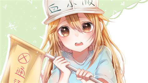 Hataraku saibou, known in english as cells at work!, is a shonen manga series later adapted into an anime featuring anthropomorphized cells of the with the help of other cells, the characters fight bacteria and pathogens attempting to invade the body. Platelet 4K 8K HD Cells at Work! (Hataraku Saibou) Wallpaper