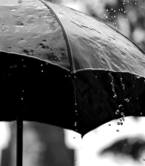 Shelter Me Black And White Photography Love Rain I Love Rain