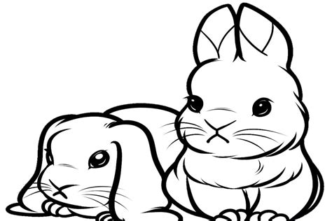 Cute Baby Bunnies Coloring Coloring Pages