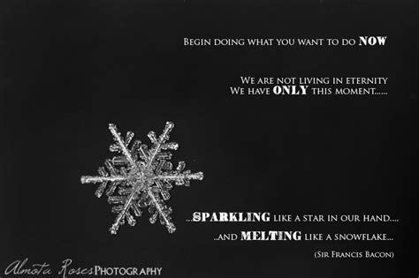 Snowflake Quotes Quotesgram