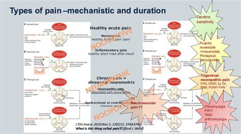 Neuropathic Pain Definition Diagnosis Classification And Assessment