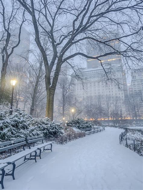 Central Park New York City Snow Storm Stock Image Image Of Chill