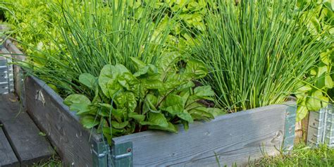 How To Create A Year Round Herb Garden From The Aol Partner Studio