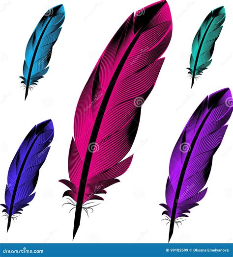 Feathers Birds Colored Stock Vector Illustration Of Bird 99182699