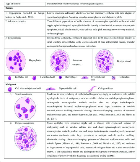 Different Types Of Tumors And The Cytological Parameters Currently