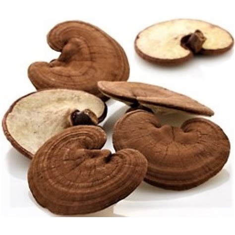 Ling Zhi Hong Ganoderma Mushroom Reishi Red Whole