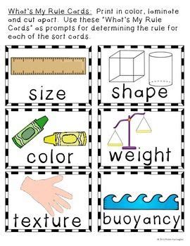 Sorting is a basic skill covered in most kindergarten curriculums. What's My Rule {Sorting Activity} for Science and Math ...