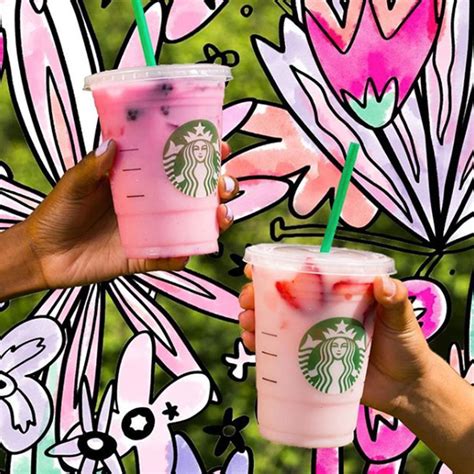 10 Starbucks Drinks For Kids You Didnt Know You Could Order