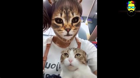 Cats Getting Scared Of Cat Mask Funny Cat Complication 6 Youtube