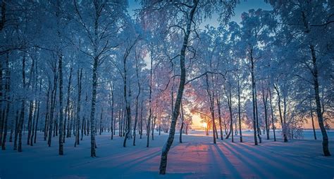 Wallpaper Id 128097 Snow Winter Cold Outdoors Free Download