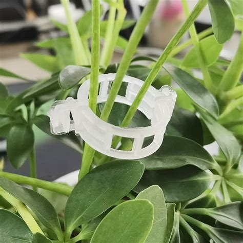 100 50pcs Plastic Plant Clips Supports Connects Reusable Protection