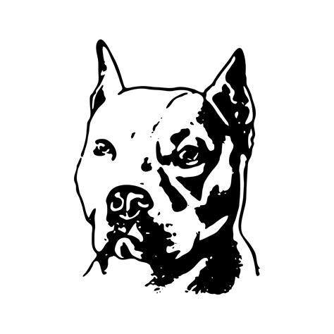40 Best Collections Pitbull Dog Drawing Perangkat Sekolah