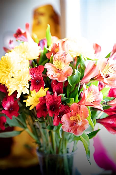 Easy And Convenient Ways To Send Flowers By Post Flowers By Post