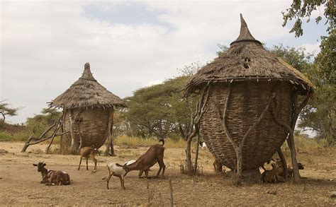 Exploring The Vernacular Architecture Of Traditional African Village