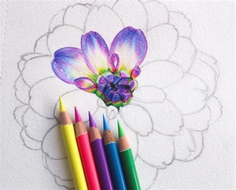 How To Draw Flowers With Watercolor Pencils At Drawing Tutorials