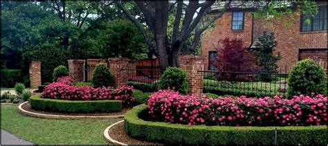Landscaping Companies In North Dallas Home Improvement