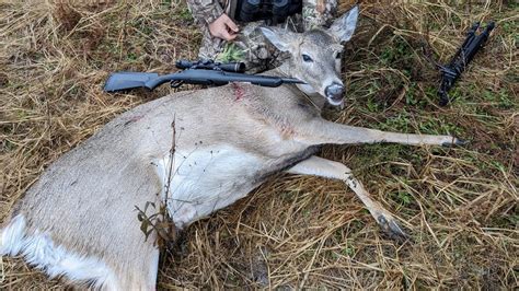 Boone Crocket Doe Dropped Hunting Michigan Whitetaildeer