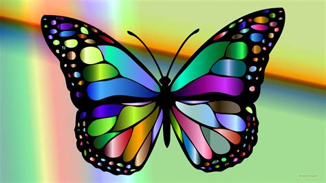 Colorful Butterfly Images Hd 2560x1440 Download Hd