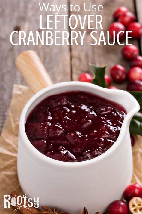 Maybe you would like to learn more about one of these? use-leftover-cranberry-sauce-pin-1 | Rootsy Network