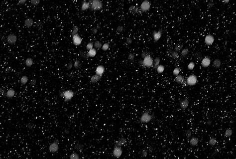 260 Free Snow Overlay For Photoshop Download Now