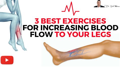 ♥ 3 Best Exercises For Increasing Blood Flow And Circulation To Your Legs