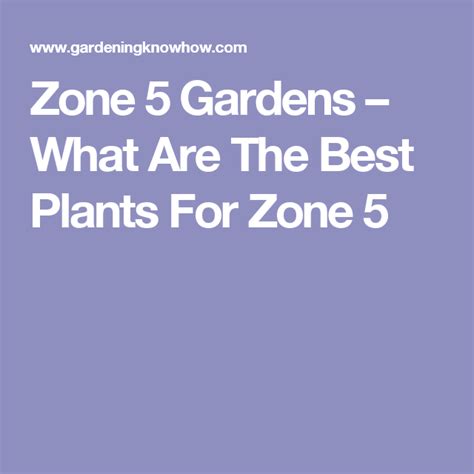 In cold climates they will need to be brought indoors for winter until the danger of frost and snow passes. Planting In Zone 5: Gardening Tips For Zone 5 | Zone 5 ...