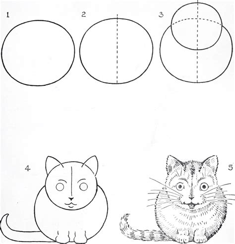 Cómo Dibujar Un Gato Fácil Instrucción Paso A Paso Juegos De Enigmas