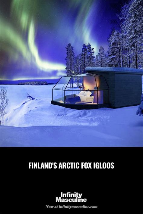 Experience The Magic Of Finlands Arctic Fox Igloos