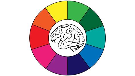 Descifran Cómo Funciona La Percepción Del Color A Través De Mediciones