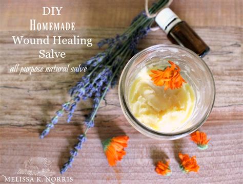 Herbal Wound Healing Salve Recipe Easy Diy