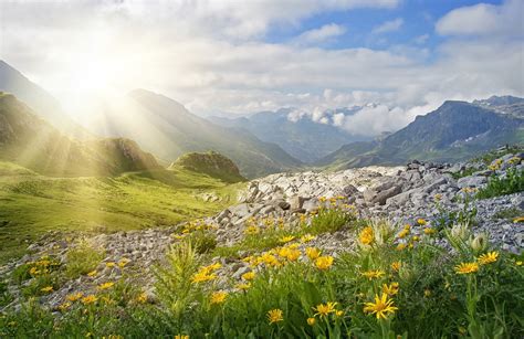 Sommerurlaub In Österreich 5 Bergsommer Im Chalet