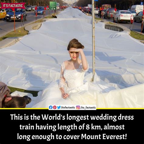 World S Longest Wedding Dress Long Wedding Dresses Wedding Dress Train Long Train Wedding Dress