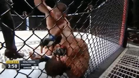 Ufc 205 Mma By UFC Find Share On GIPHY