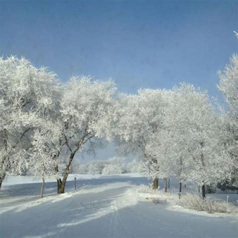A Beautiful Winter In Saskatchewan Saskatchewan Landscape Winter Time